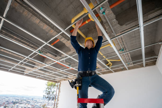 Best Emergency Plumber  in Boaz, AL